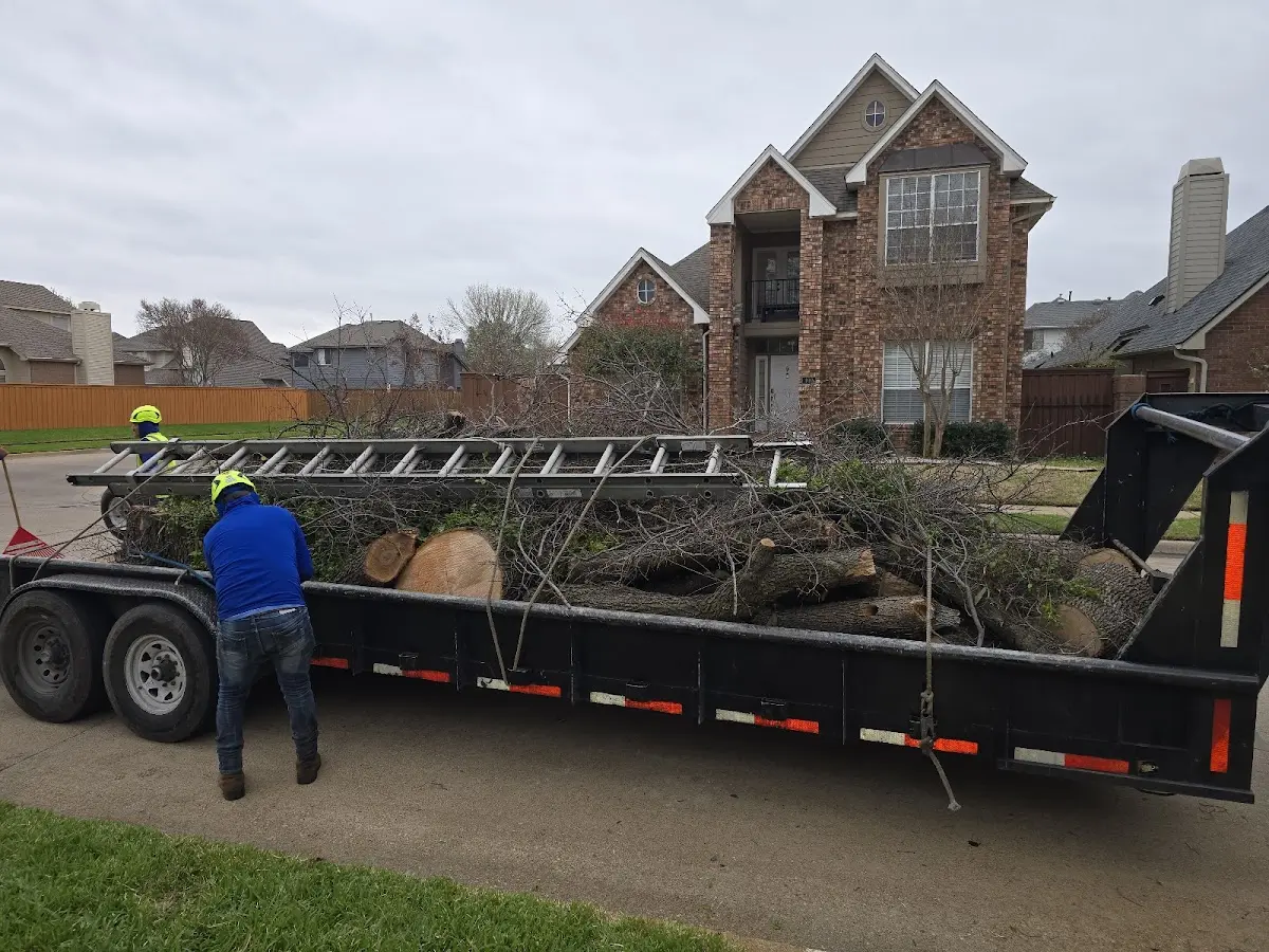 Expert Tree Removal with proper safety equipment in Pell Lake